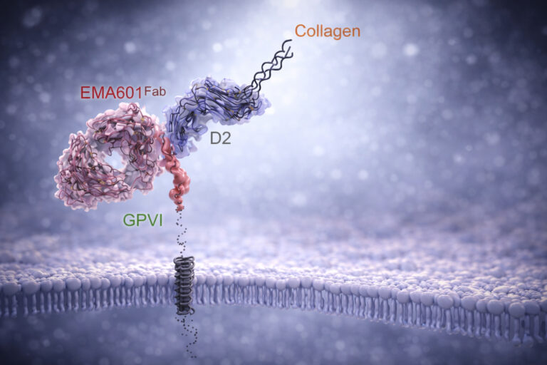 Bild_EMA601_News_Publication_EHJ